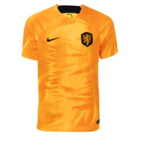Herren Fußballbekleidung Niederlande Heimtrikot WM 2022 Kurzarm